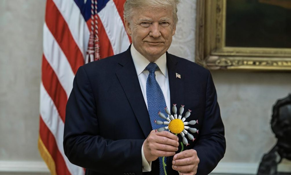    Коллаж Блоконт