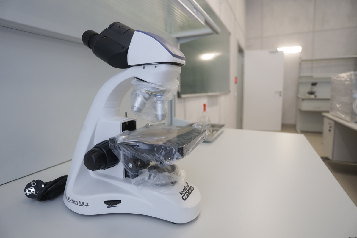 Фото носит иллюстративный характер. Фото: Андрей Степанов