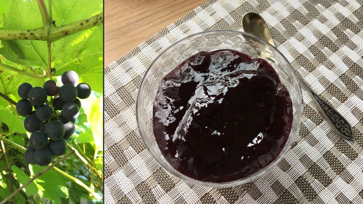 Даже не думала, что буду когда-нибудь варить свой виноград! Но в этом году рекордный урожай