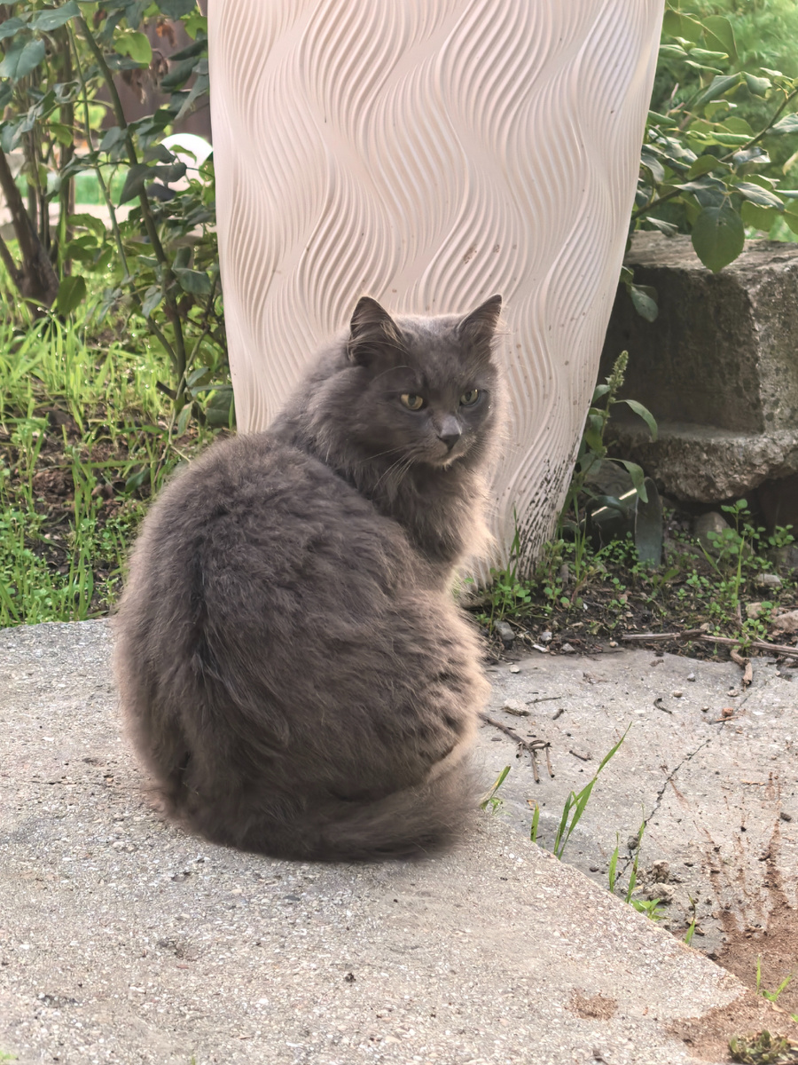 А кто-то денно и нощно во все стороны за порядком следит