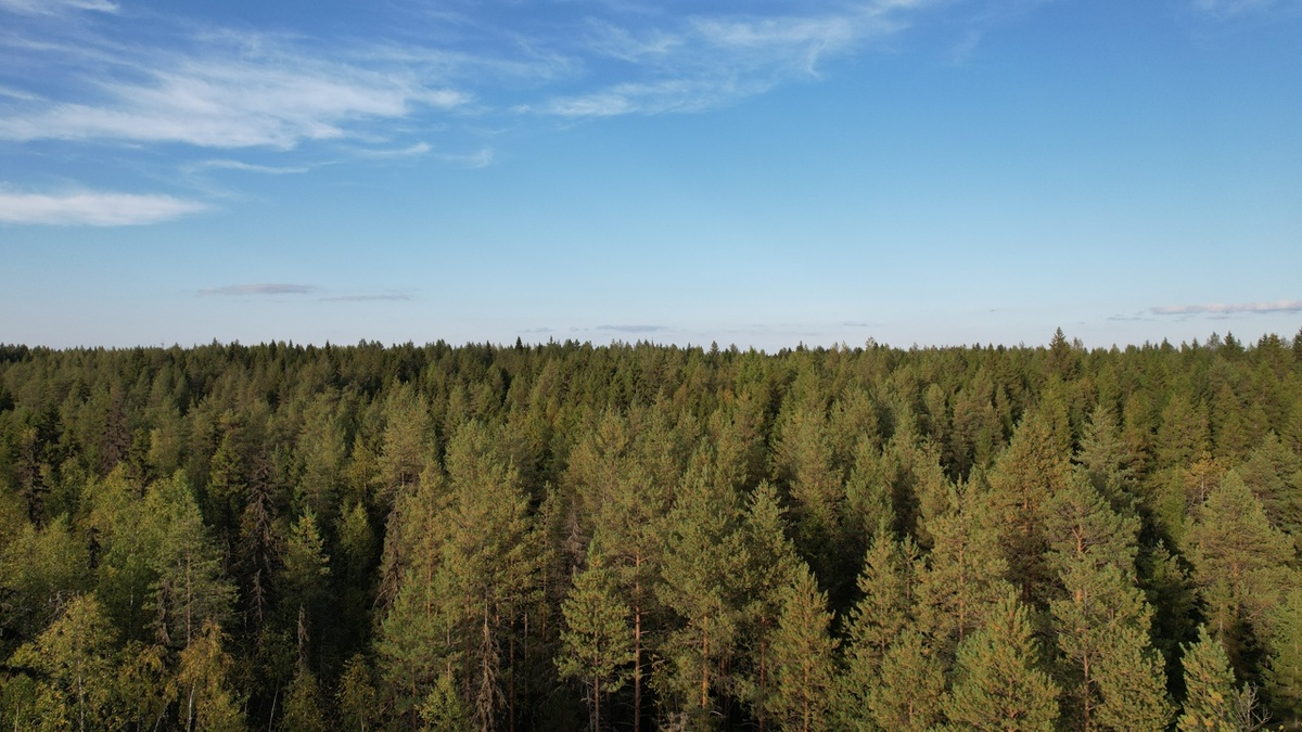    Фото: "Республика" / Родион Филиппов