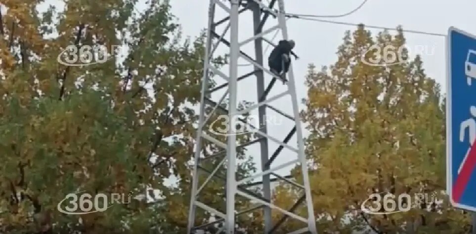    Фото: стоп-кадр видео 360.ru