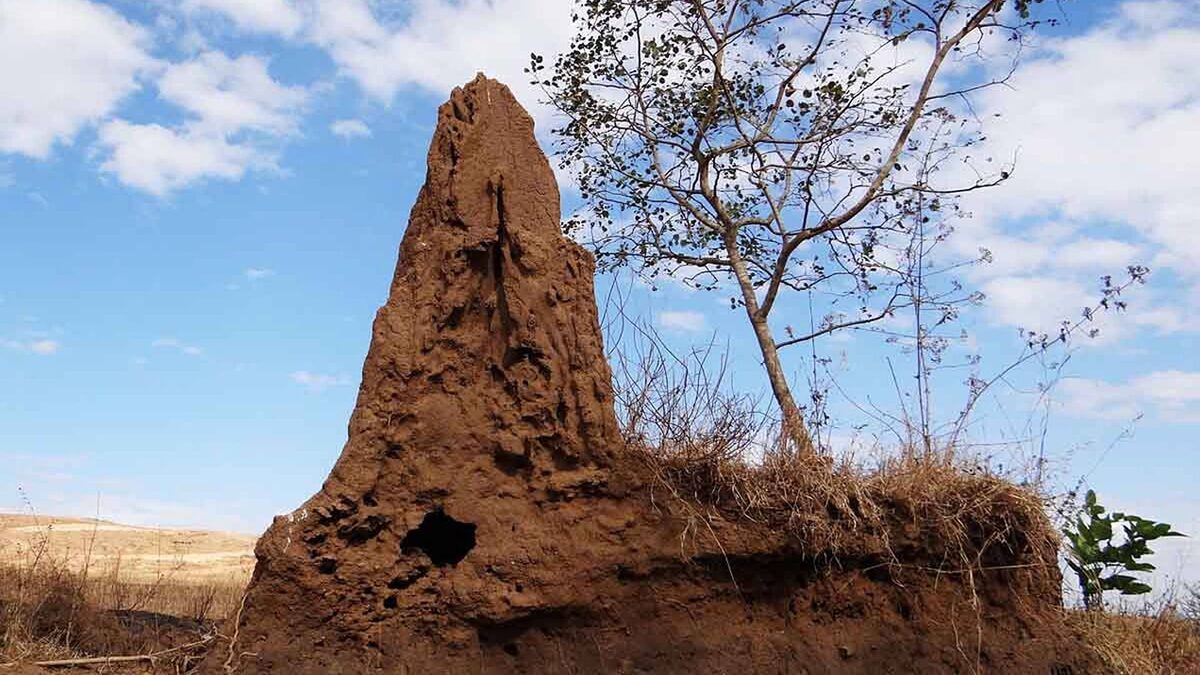 Фото с сайта: https://hopemedia.it/sopravvivere-alla-tortura-il-rapporto-di-medici-senza-frontiere/