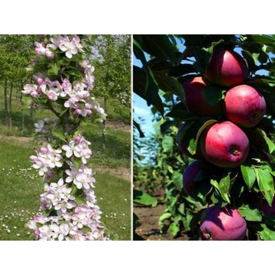 Московское ожерелье