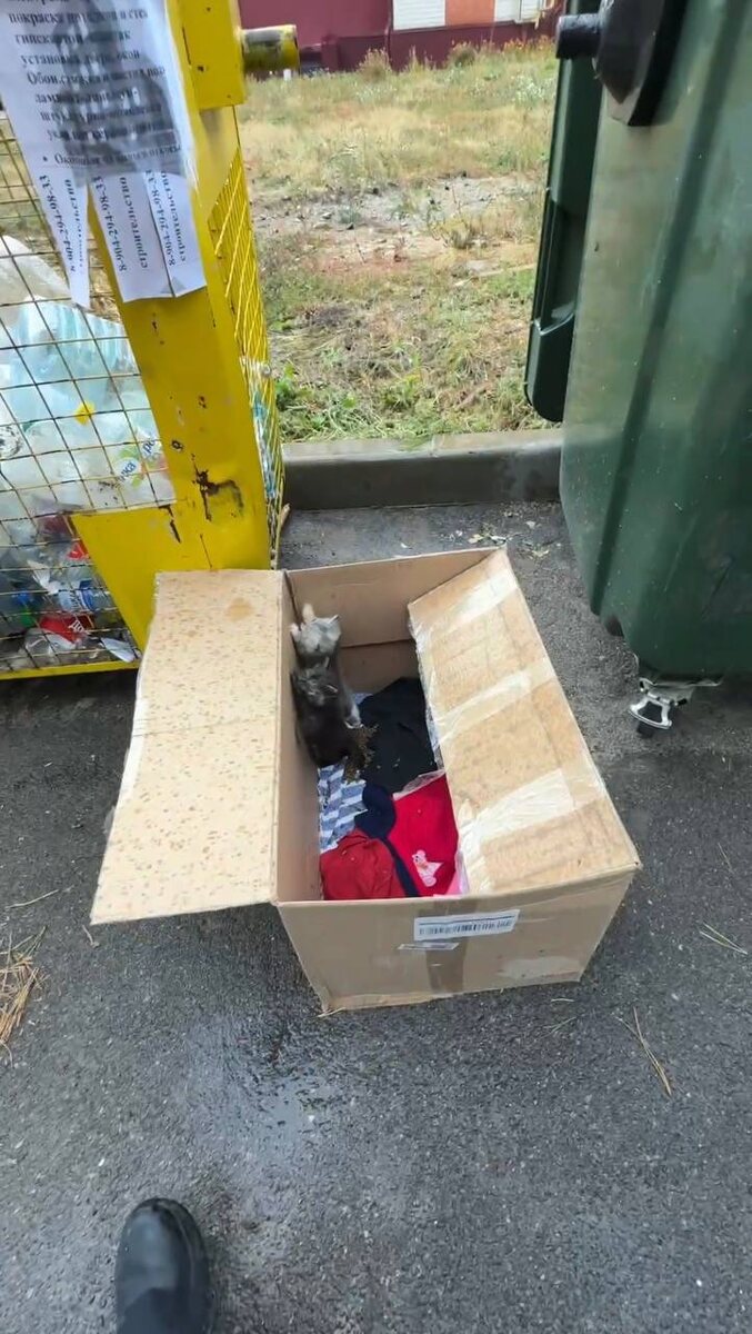 Вот такой «мусор» не редкость в этом районе. Фото из архива автора