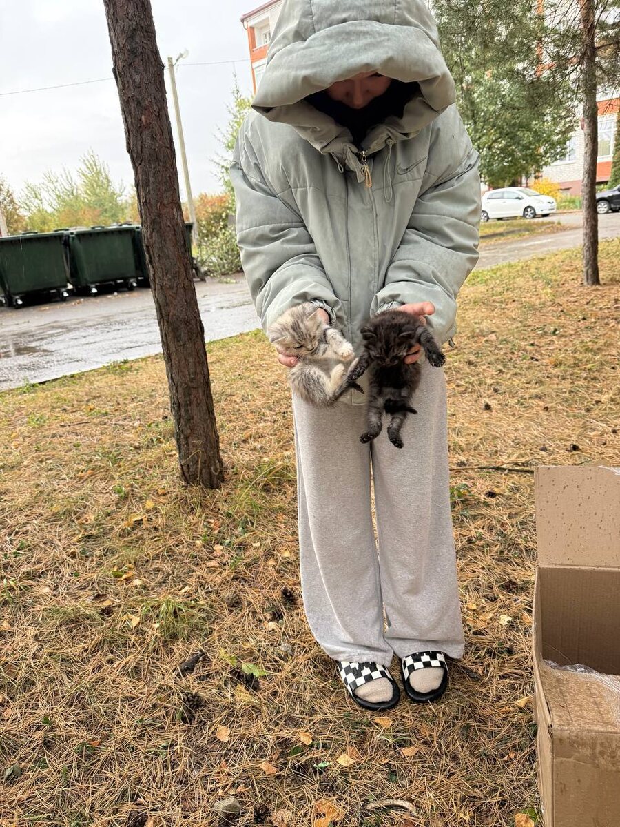 +два котенка в Кошкин дом. Фото из архива автора 