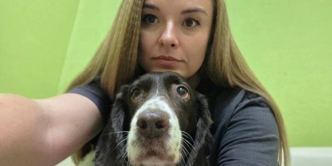 100 000р для чужой собаки. Сару прооперировали