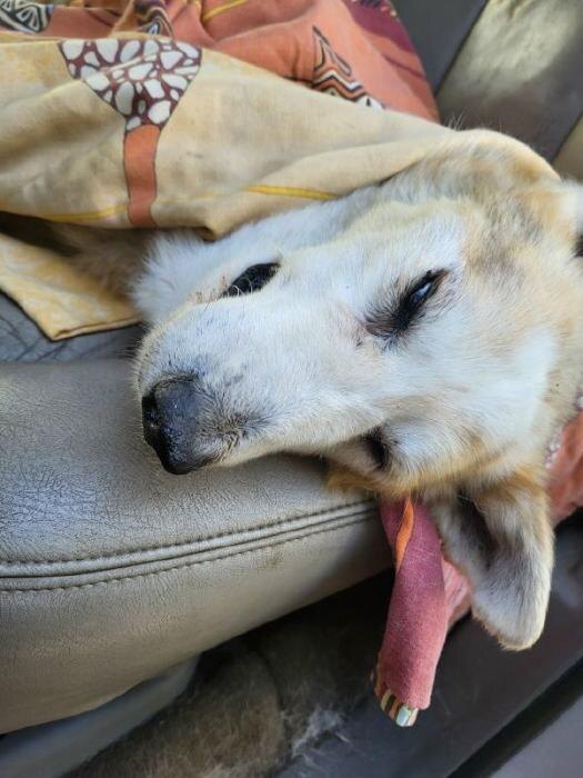 ЧП в Порхове
Фото: Александр Ефимов