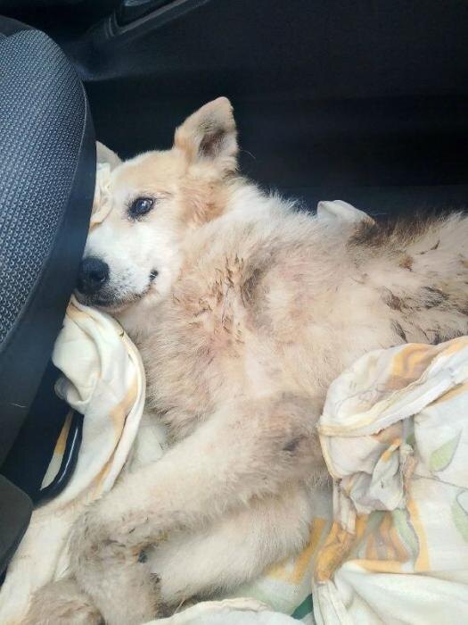 ЧП в Порхове
Фото: Александр Ефимов