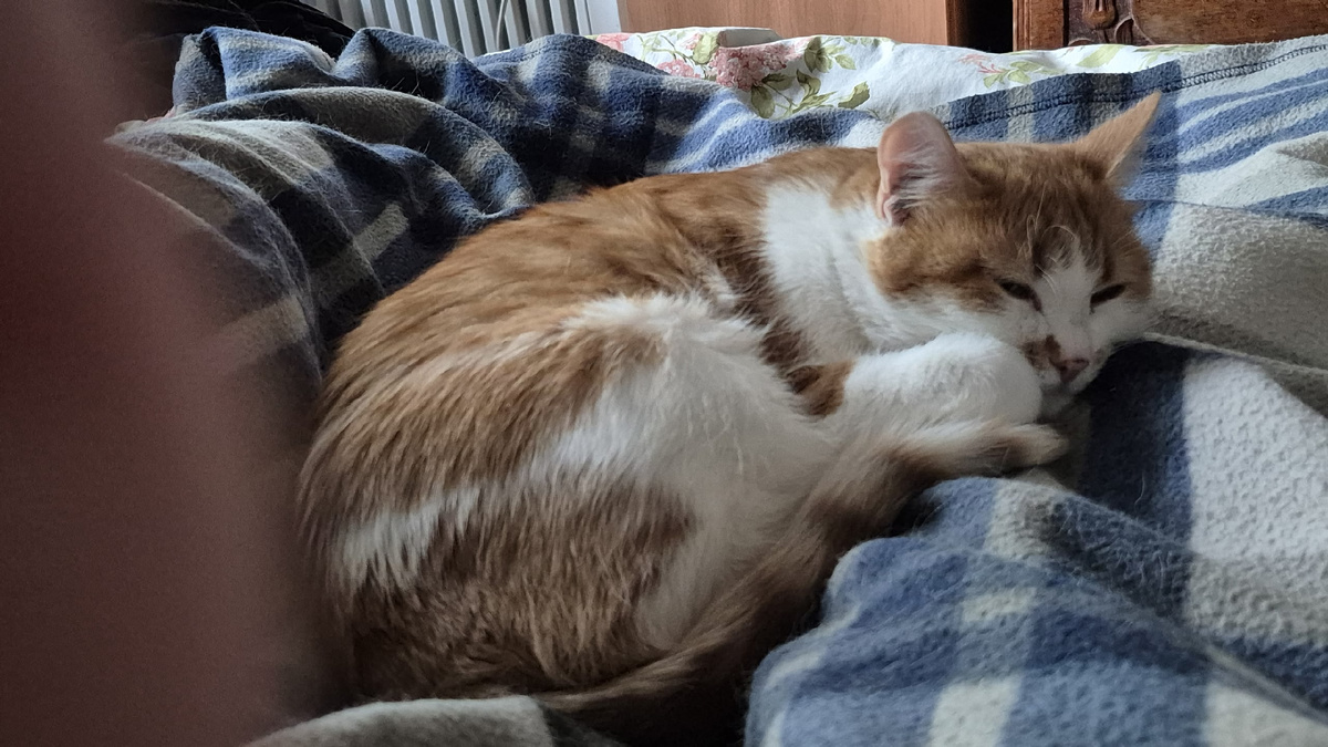 на моей ноге