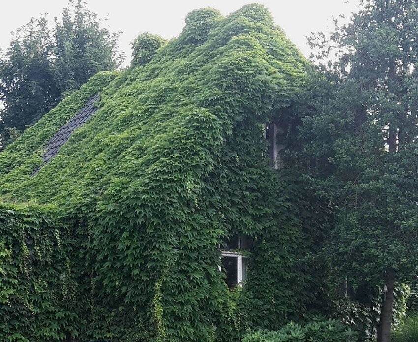 Фото из открытых ресурсов интернета