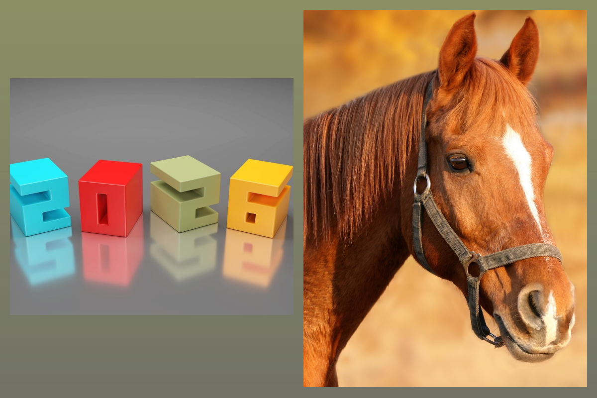 2026 год - Огненной Лошади/pixabay.com