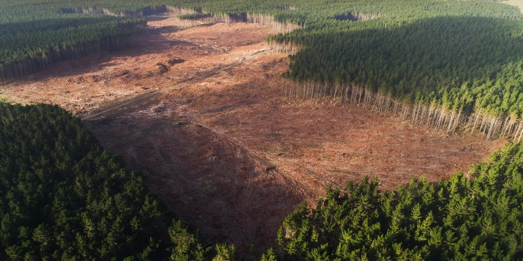 Следы великой катастрофы, стершей Тартарию с лица земли