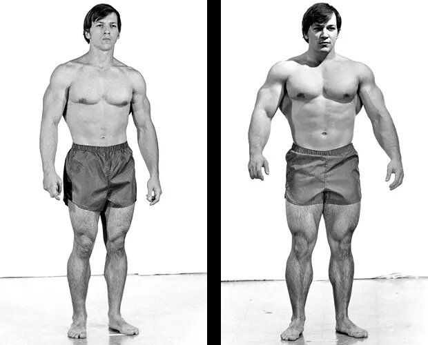 Кейси Виатор