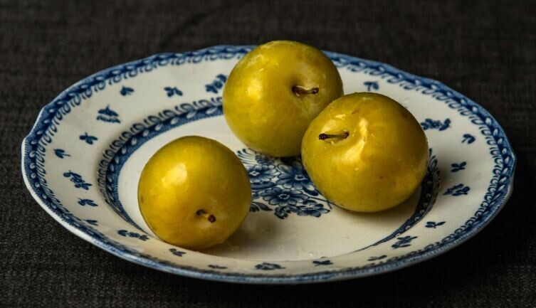     Фото: Paula Morin on Unsplash