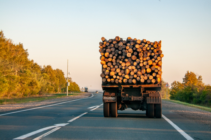    Каждый второй рабочий в регионе так или иначе привязан к этому дереву. Фото: Svetlana Vozmilova/Global Look Press