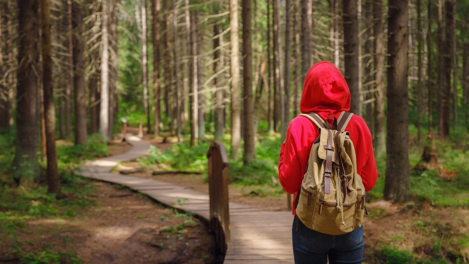 После них леса как мертвые становятся: Россию атакуют иностранные растения и животные