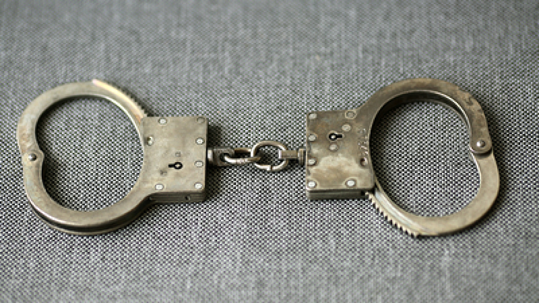    Nikolay Gyngazov/Globallookpress