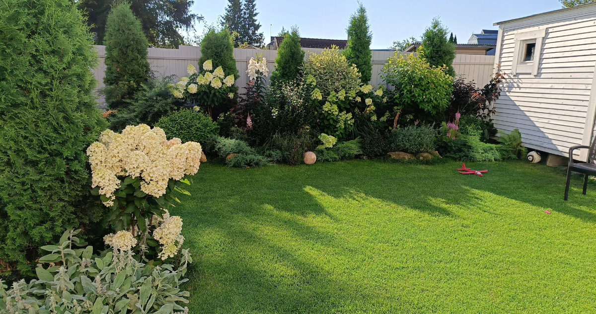 Сад автора, август