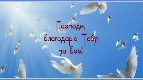 Из открытых источников Яндекса.