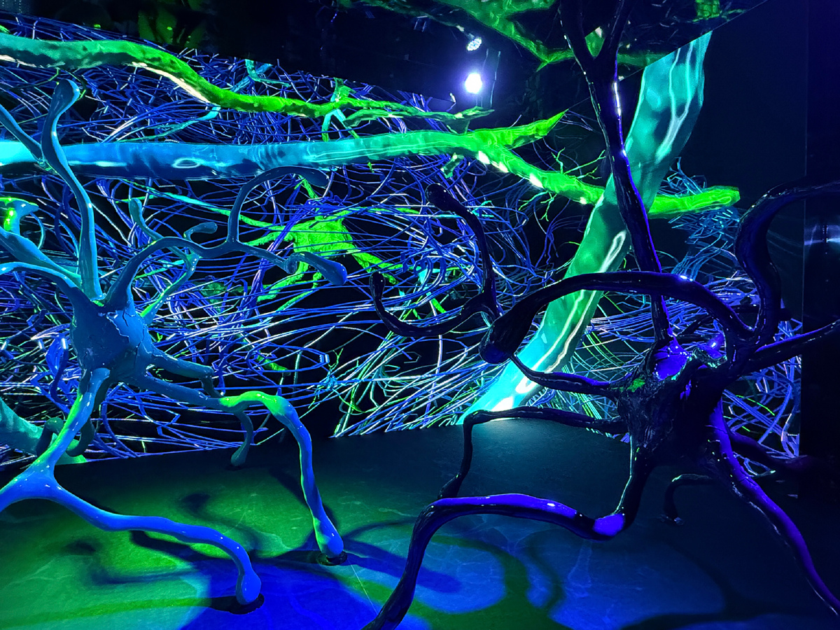 Нейролес - аллегория мозга