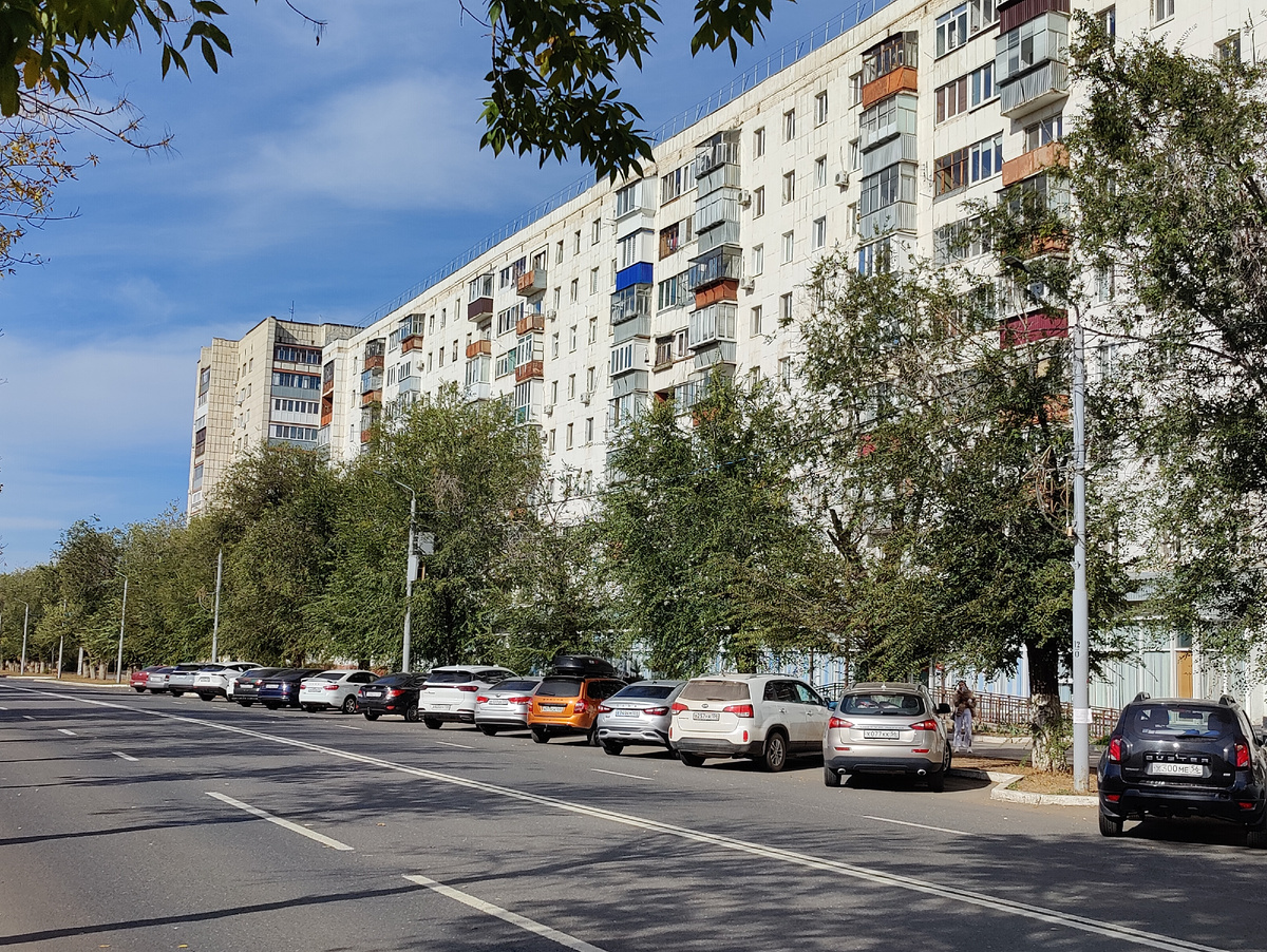 Карагач на улице Брестской в Оренбурге 