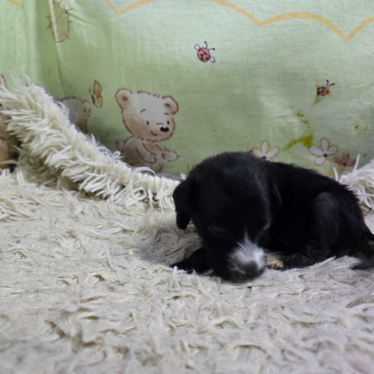 малыш спит беззащитно среди холодных стен