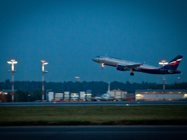    Фото: Москва 24/Владимир Яроцкий