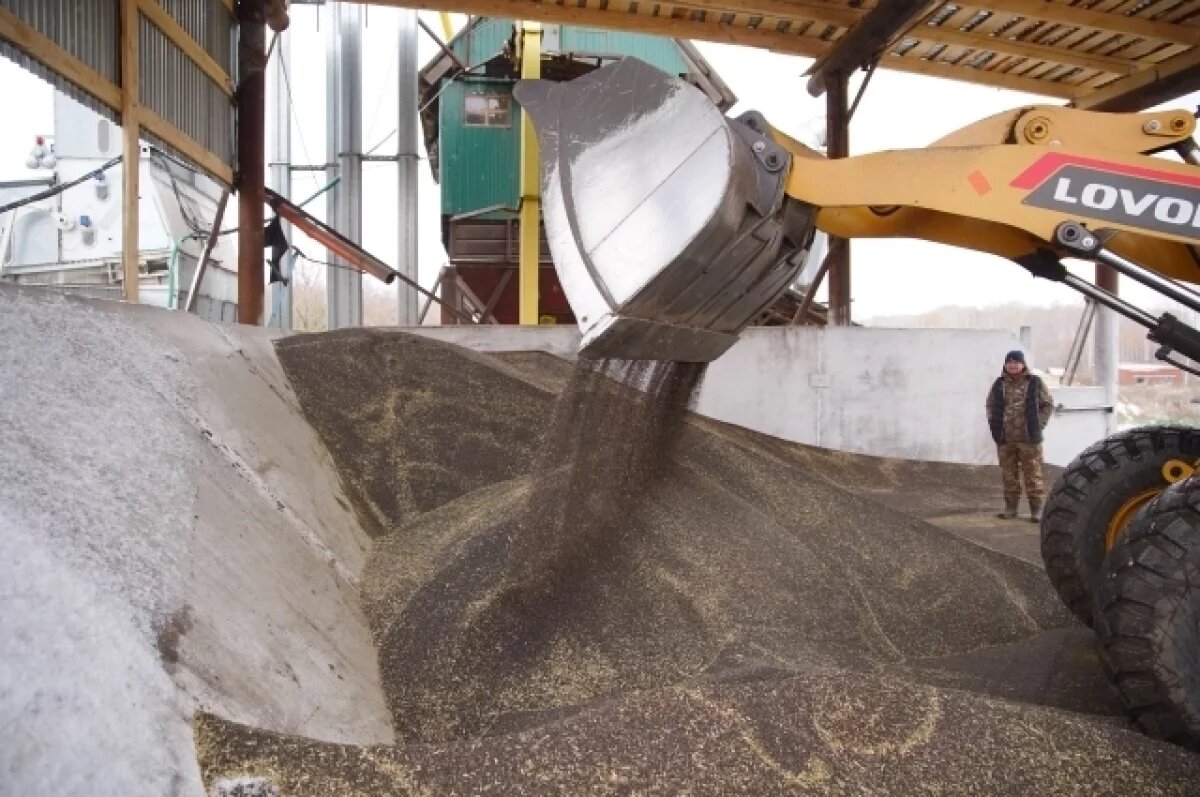    Аграриям Кузбасса осталось убрать 14% зернобобовых культур с полей