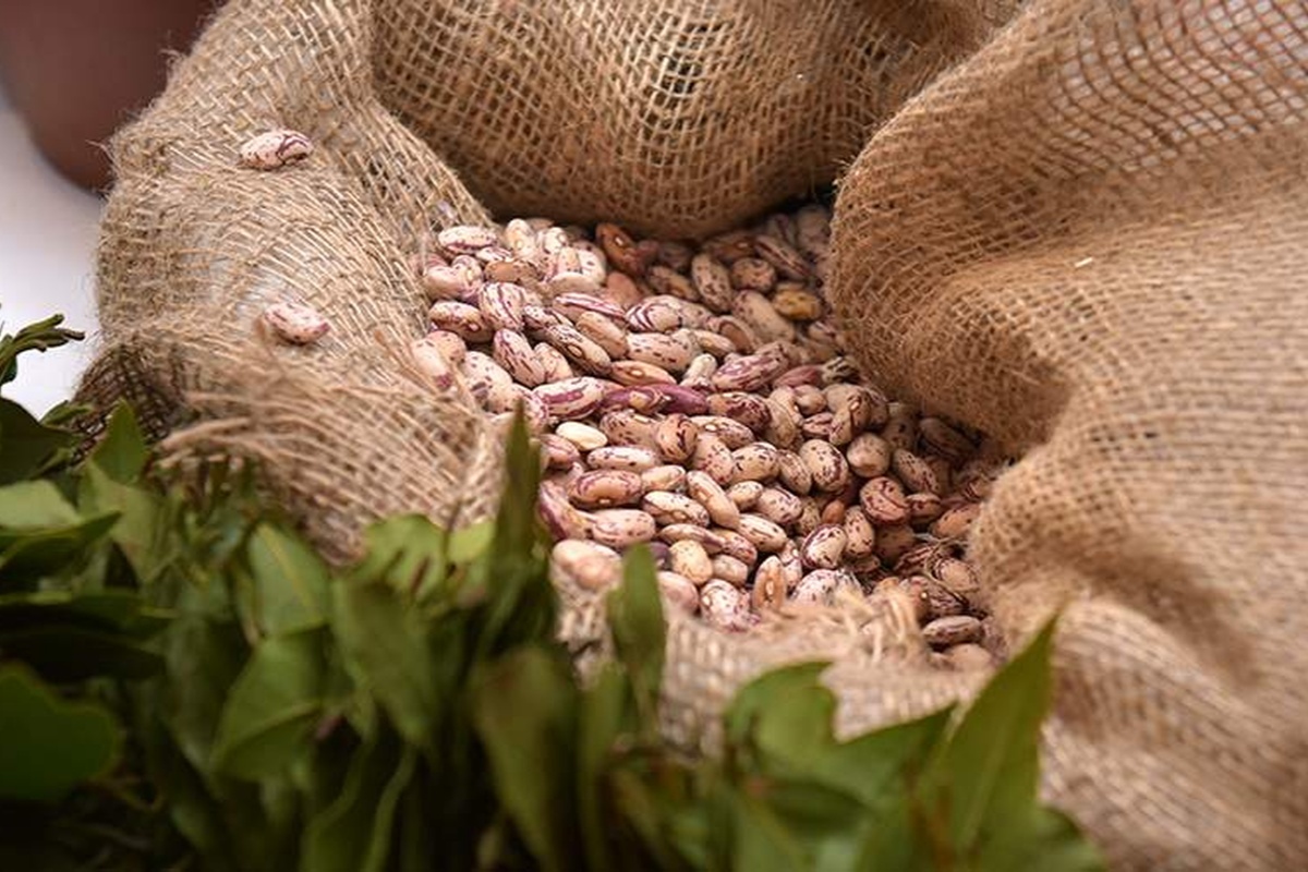    Фото: Томас Тхайцук, источник: ria.ru