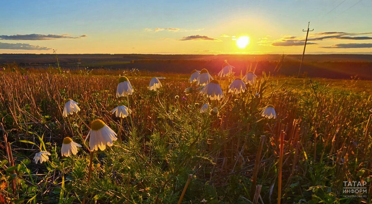 Фото: © Султан Исхаков / «Татар-информ»