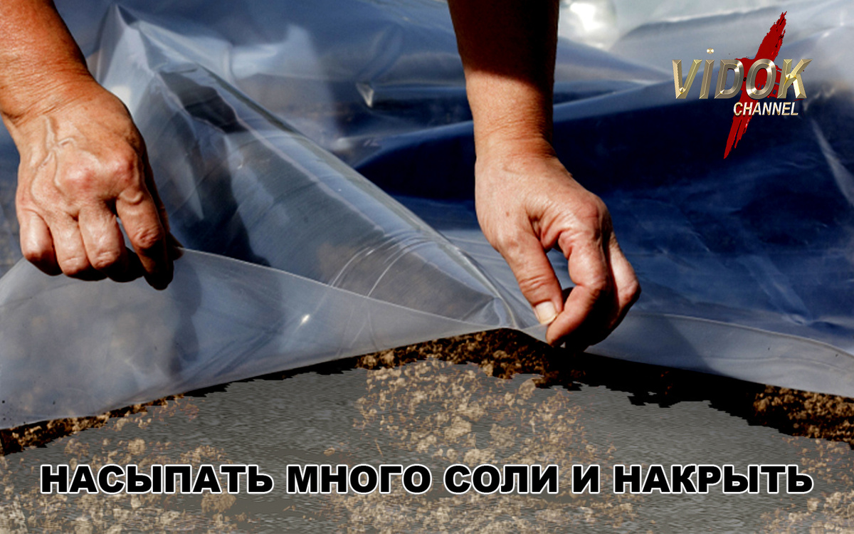 ВИДОК - КАНАЛ НА YOUTUBE - RUTUBE