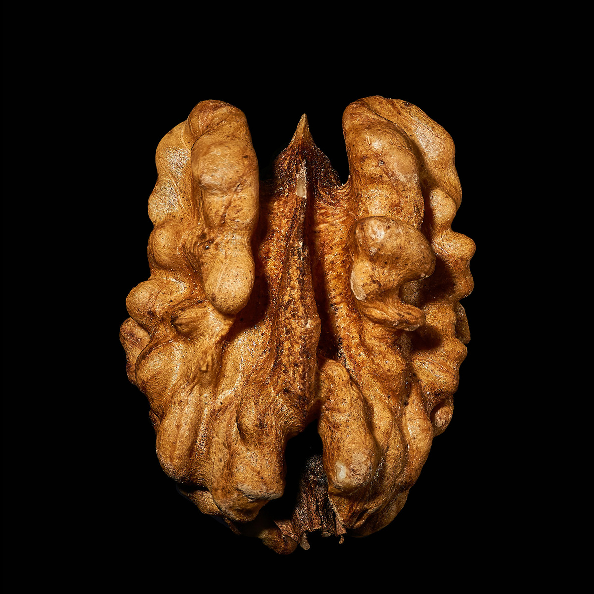 Ядро грецкого ореха