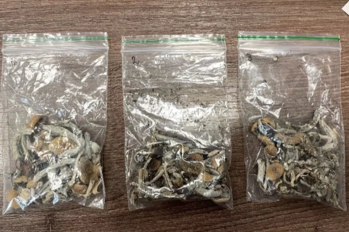    Многодетная семья бесконтактно продавала наркотики в Хабаровске