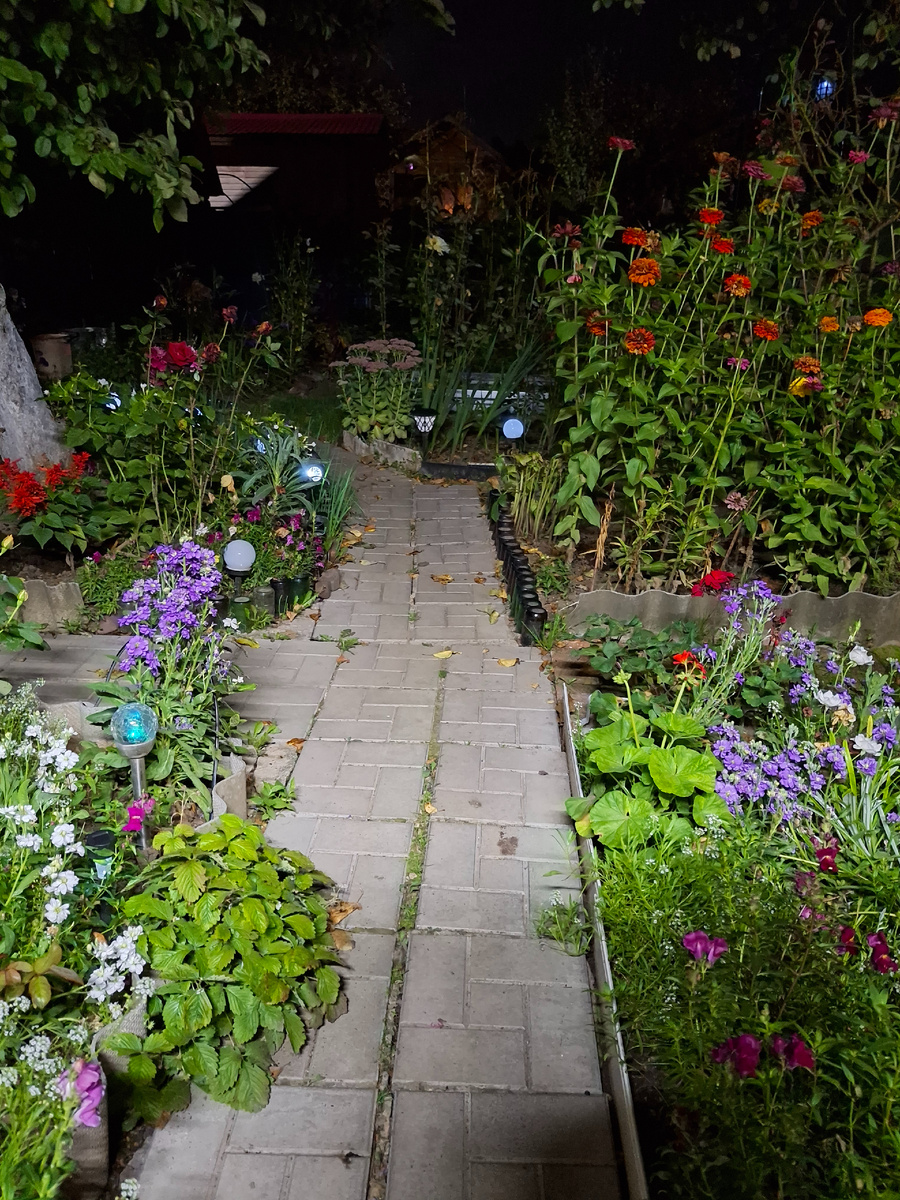 Красиво конечно в саду 