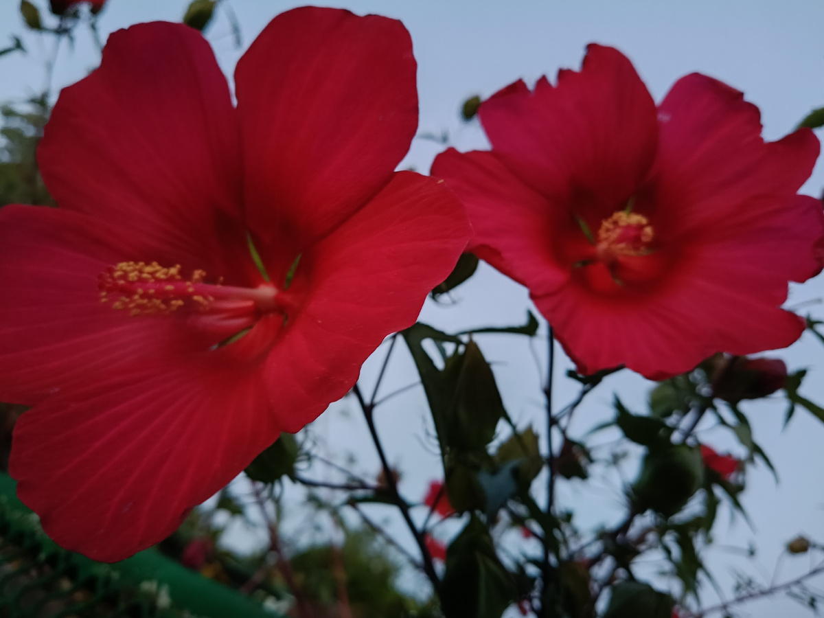 Фото со вчерашней прогулки