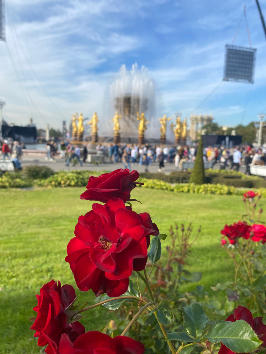 фото автора 