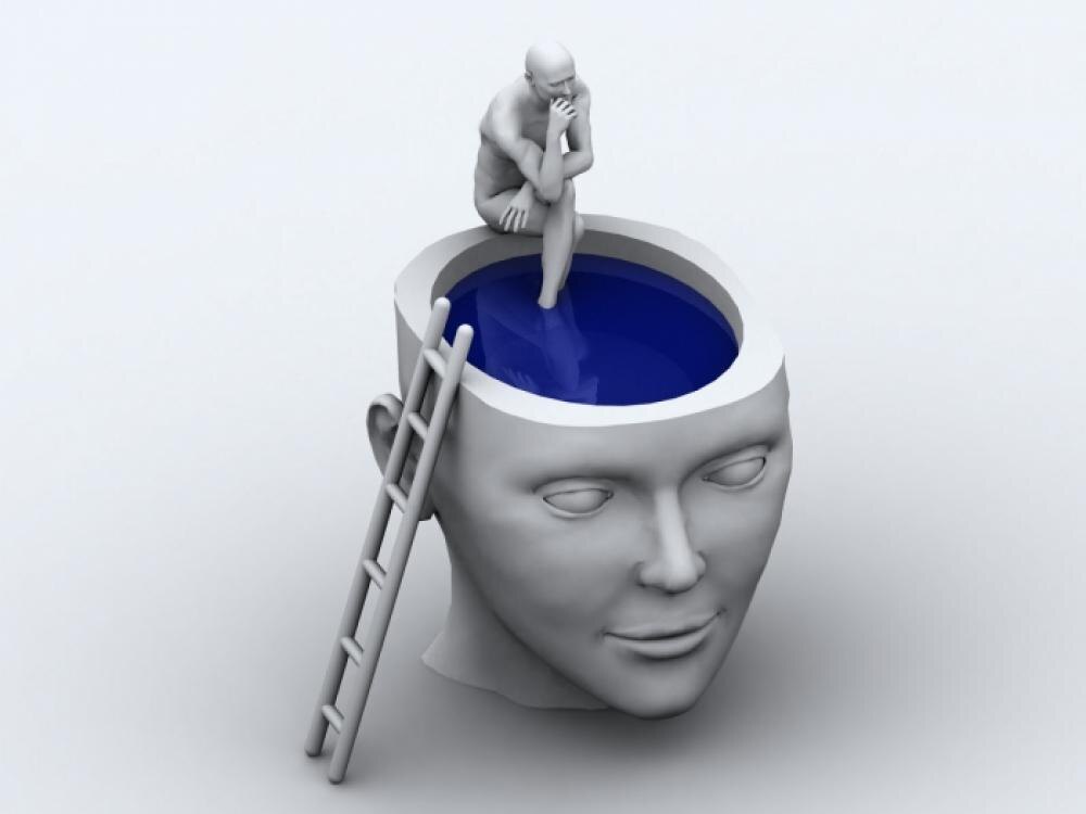 Из открытых источников интернета 