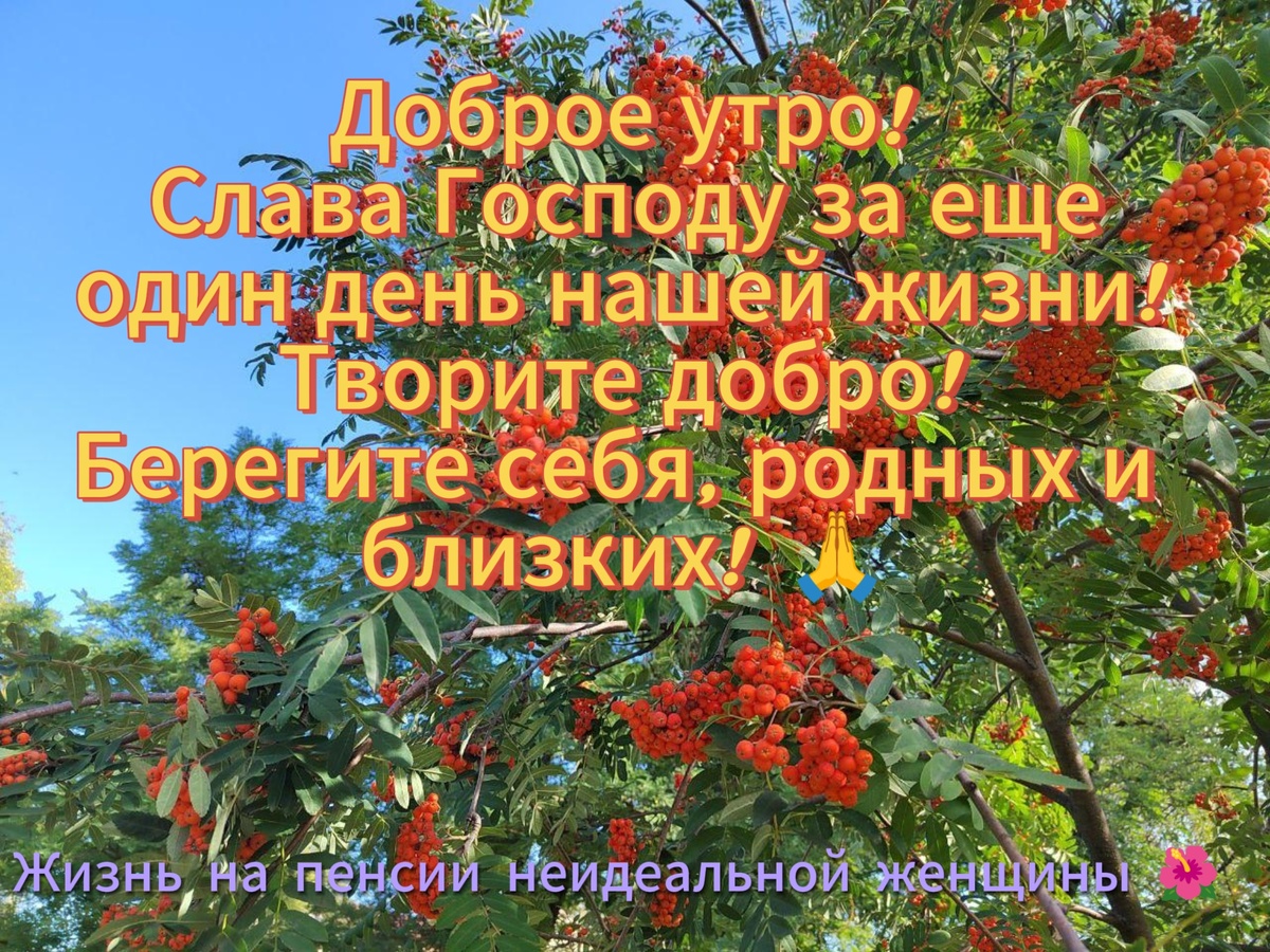 Фото  автора