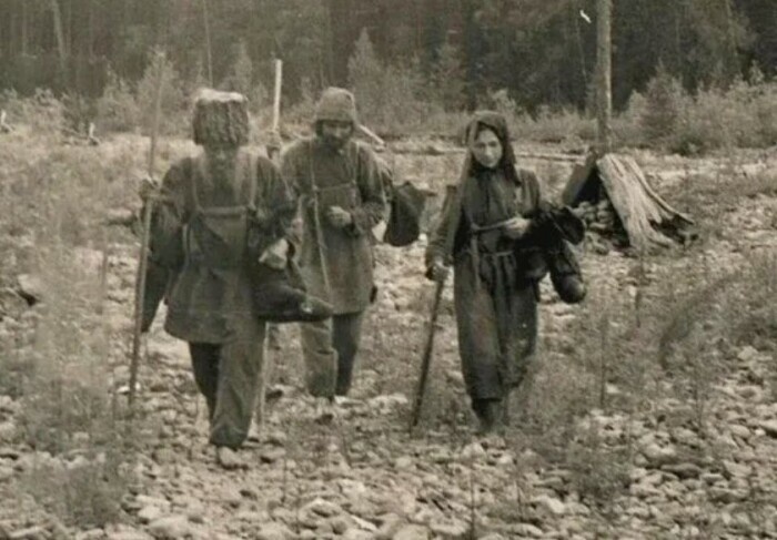 Лыковы в тайге.