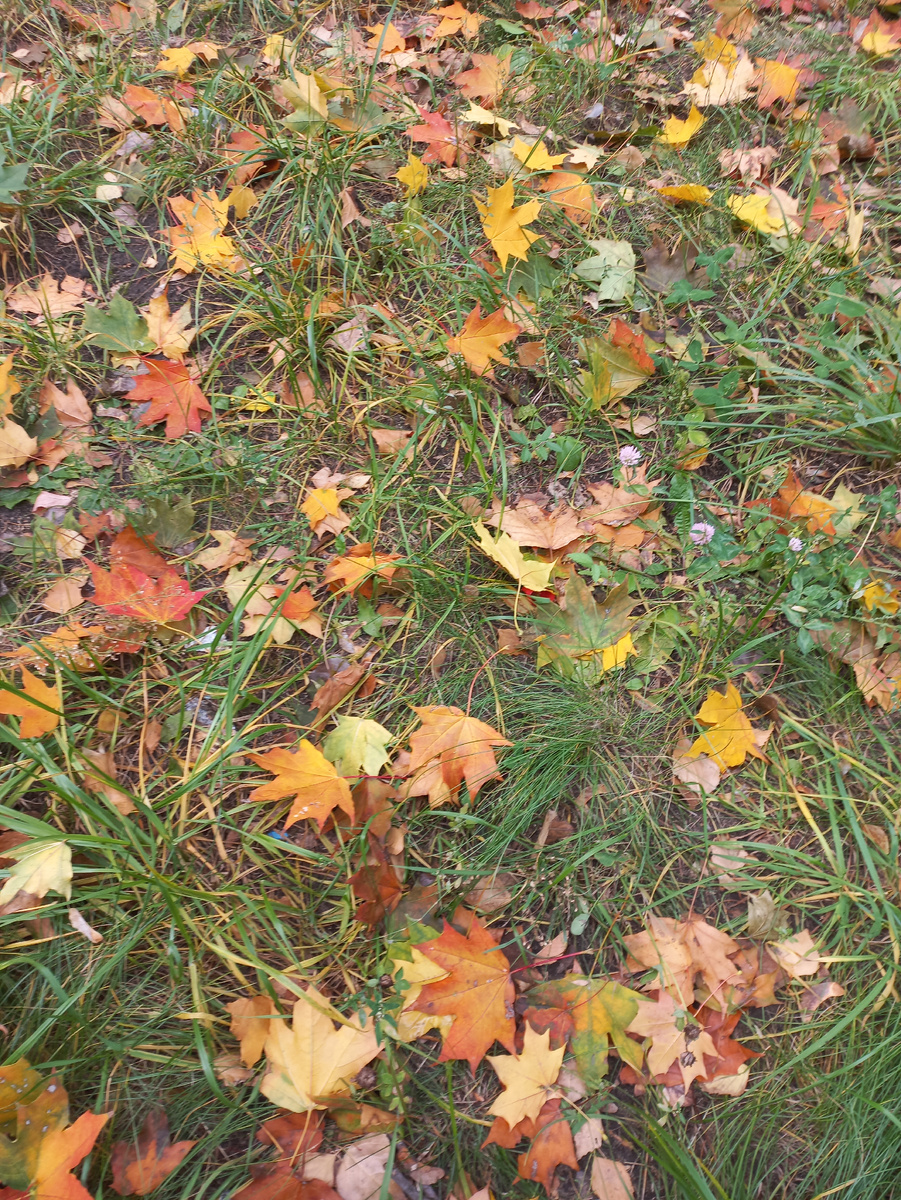 Фото личное