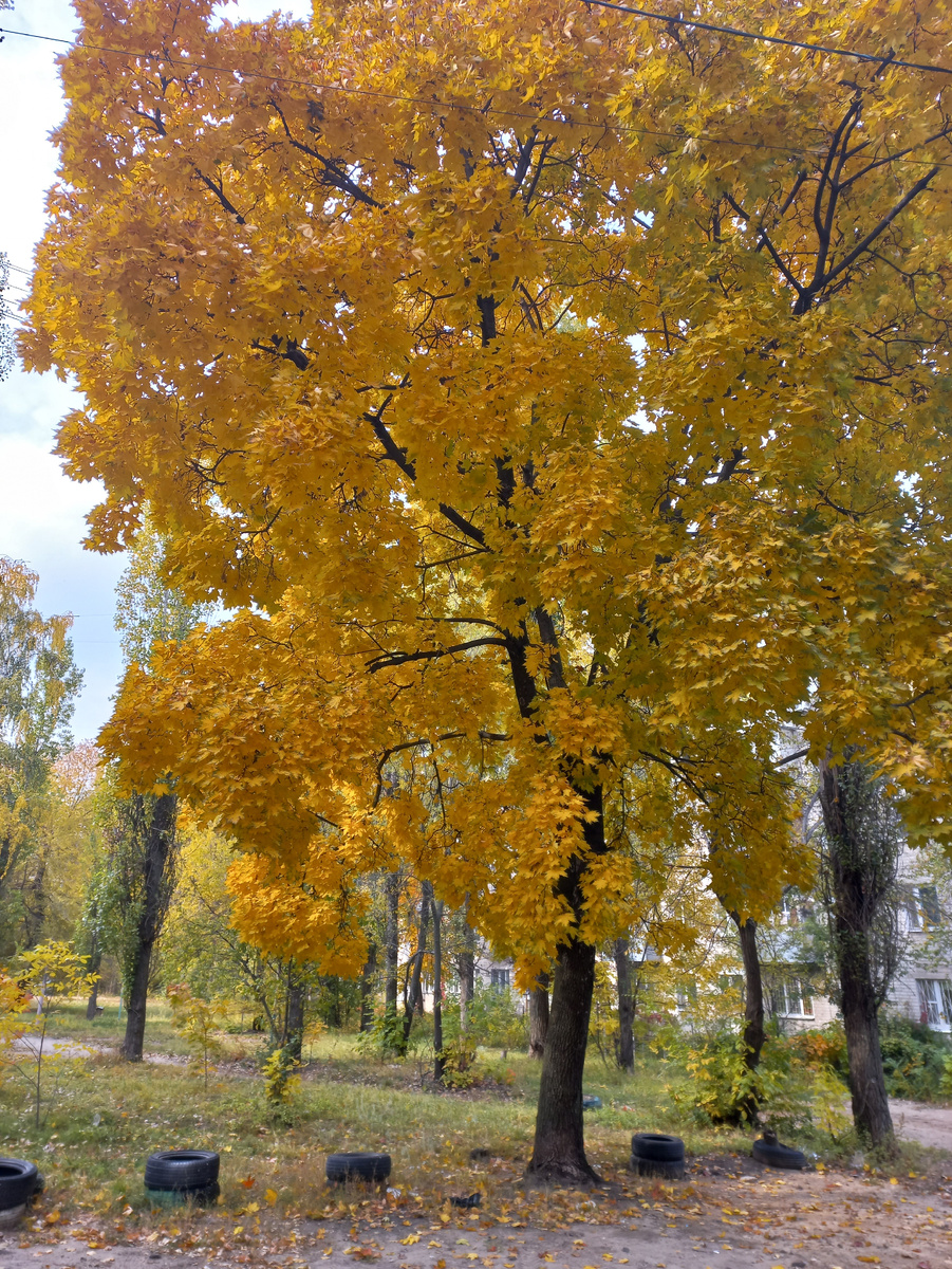 Фото личное