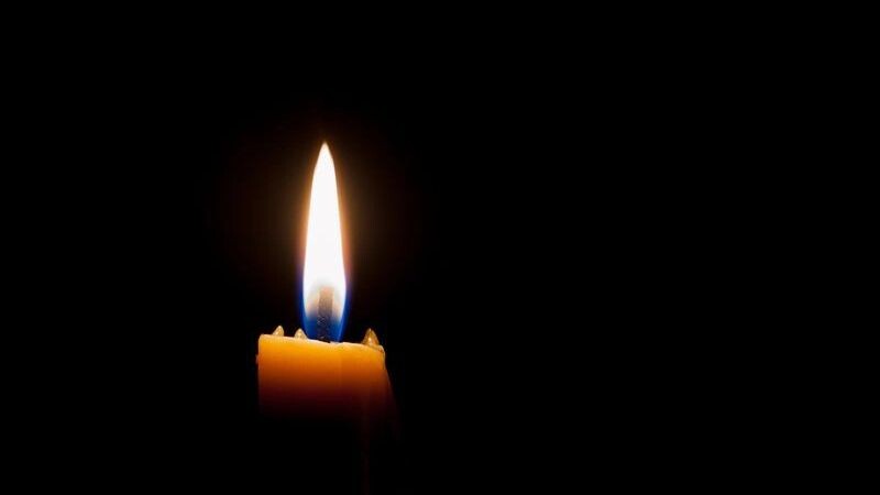    Фото: Yurii Klymko/Shutterstock/Fotodom