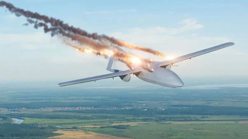    Фото: aapsky/Shutterstock/Fotodom