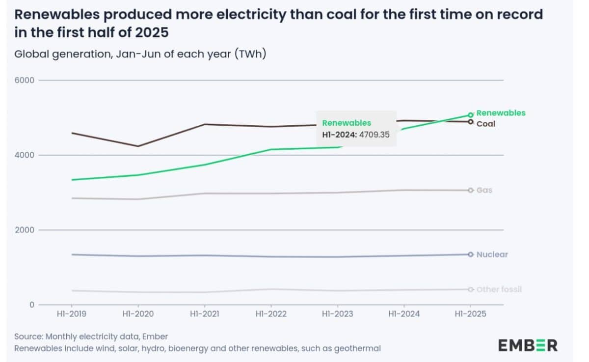    Возобновляемая энергия впервые в современной истории опередила уголь по выработке электроэнергии / © Ember