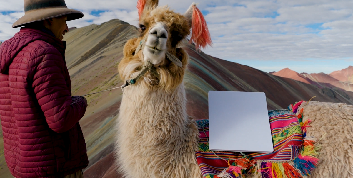 Фото Starlink  📷
