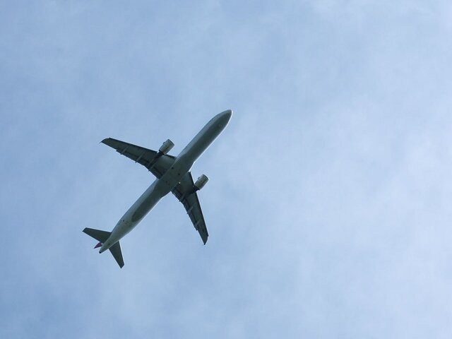    Фото: 123RF/gabriele