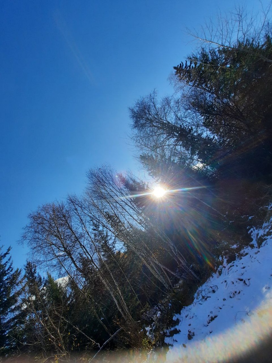 Фото автора.