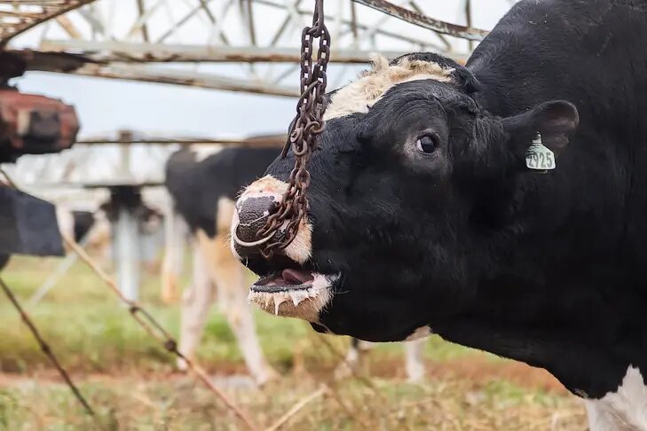    Фото и видео Андрея Заржецкого