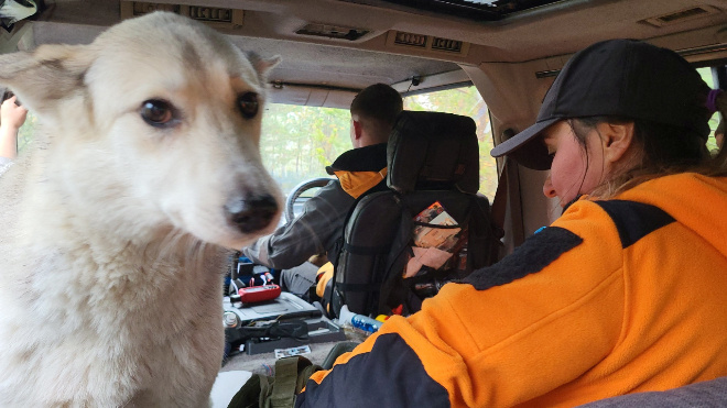 Фото: ЛизаАлерт